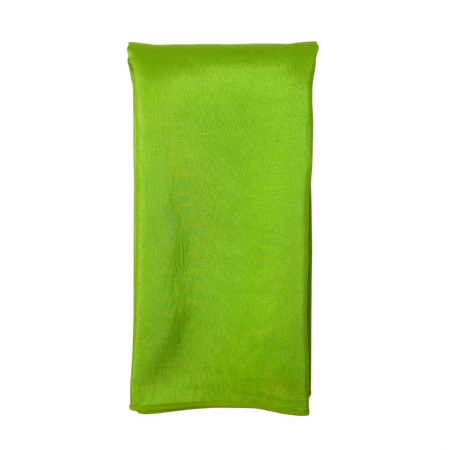 Apple Green Taffeta Napkin - House of Hough