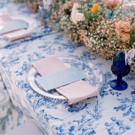 Blue Toile + Pink Ticking Napkin - House of Hough