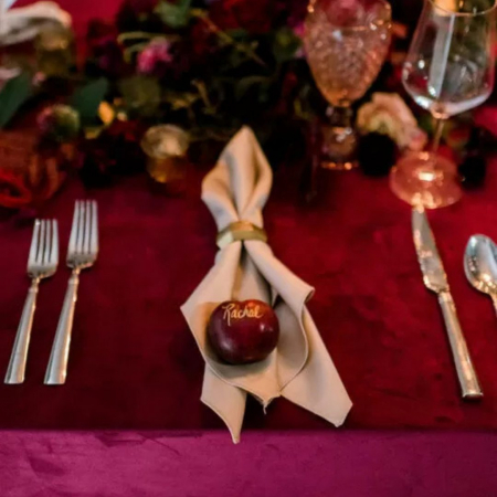 Champagne Lamour Napkins + Sangria Velvet - House of Hough