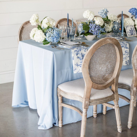Sky Blue Petite x Blue Toile Napkins - House of Hough