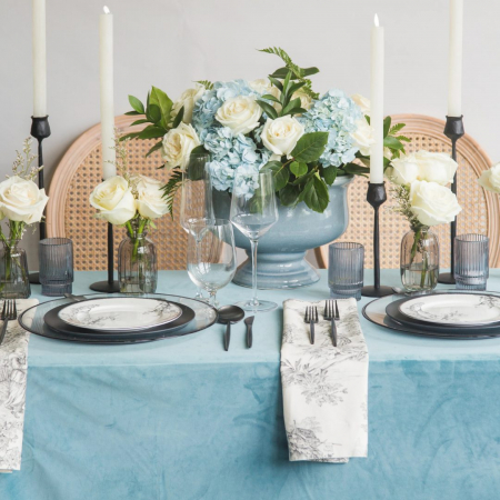 Spa Blue Velvet + Black Toile Napkin - House of Hough
