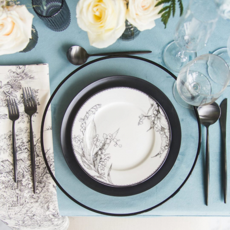 Spa Blue Velvet + Black Toile Napkin - House of Hough
