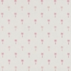 Pink Pindo Palm