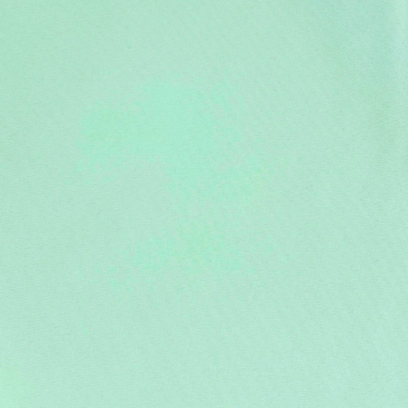 Pistachio Polyester Napkin - House of Hough